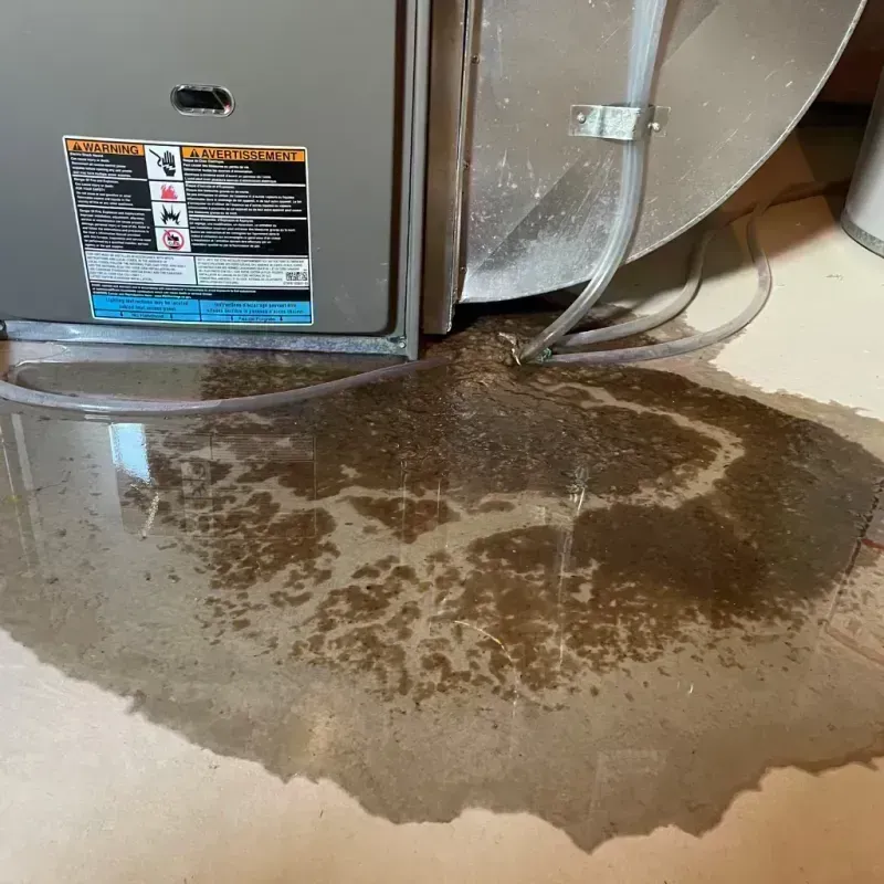 Appliance Leak Cleanup in Clayton County, GA